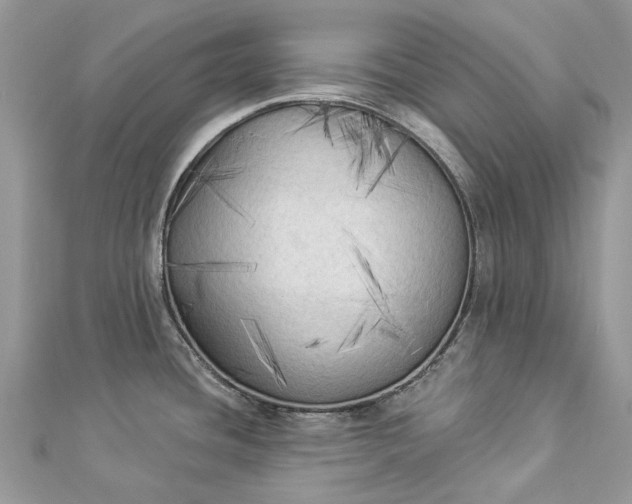 X0000112821436200909041505