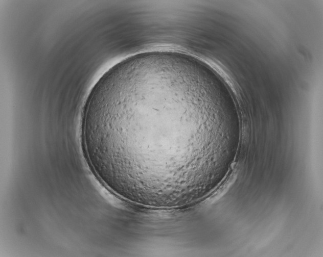 X0000112821438200909041506