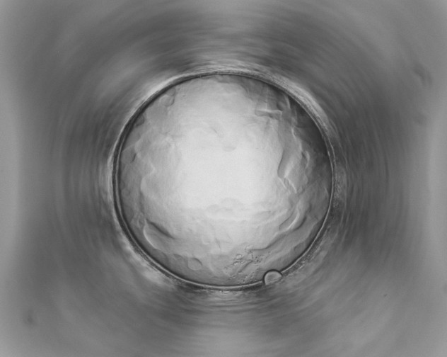 X0000112821439200909041506