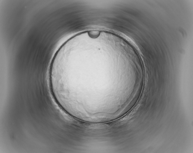 X0000112821440200909041506