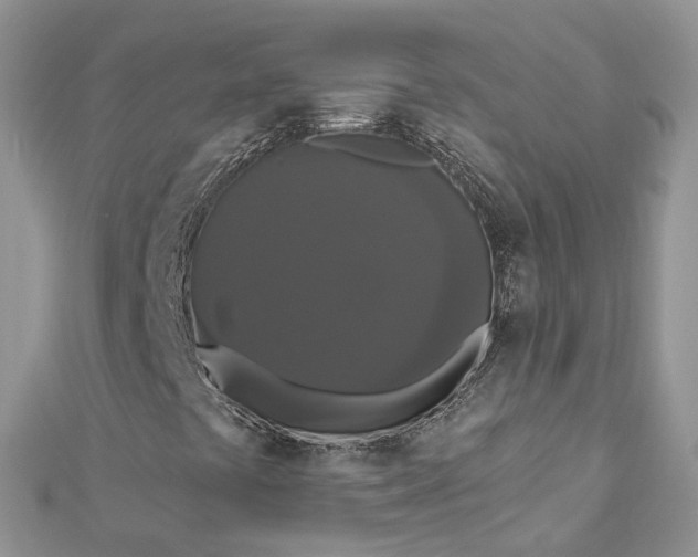 X0000112821441200909041505