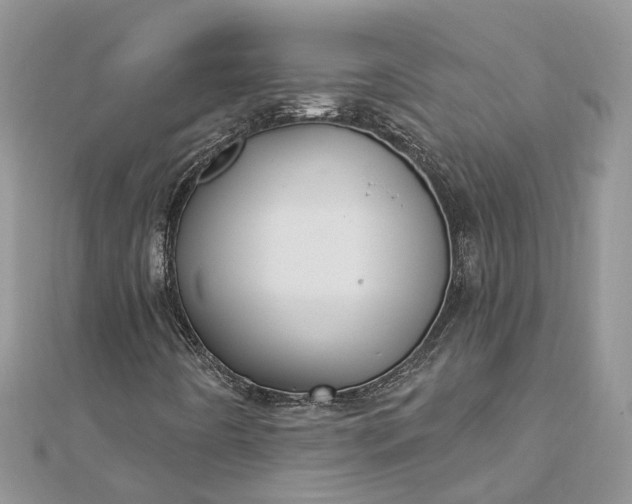 X0000112821442200909041505