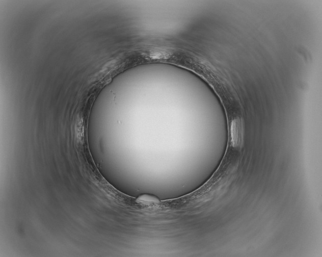 X0000112821443200909041505