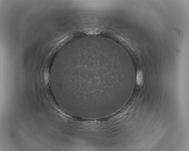 X0000112821444200909041505