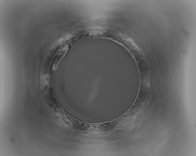 X0000112821445200909041505