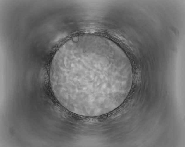 X0000112821446200909041505