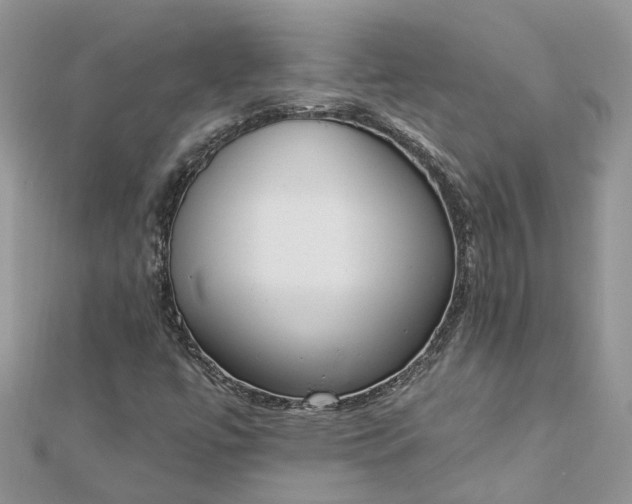 X0000112821447200909041505