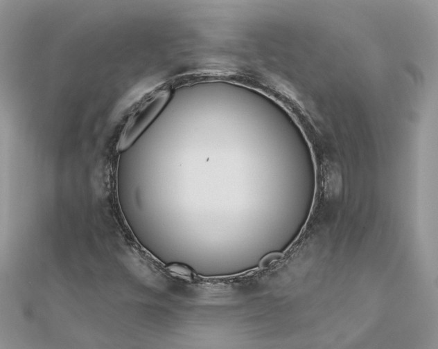 X0000112821448200909041505