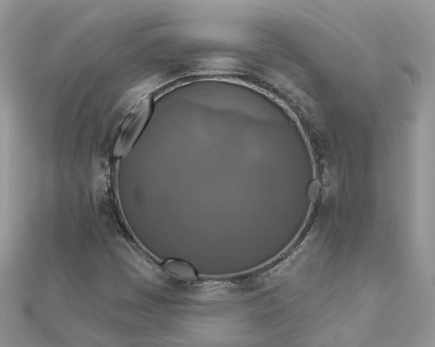 X0000112821449200909041505