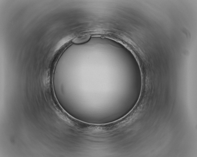 X0000112821450200909041505