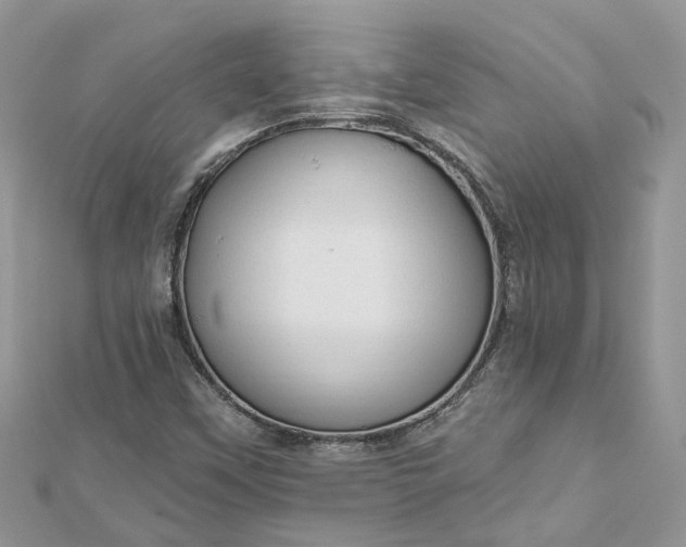 X0000112821451200909041505