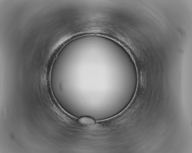 X0000112821452200909041505