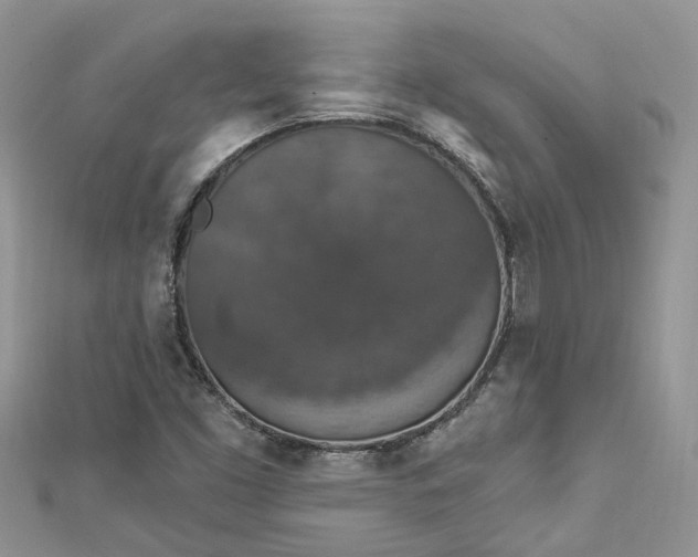 X0000112821453200909041505