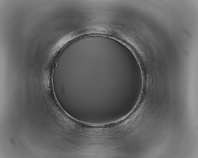 X0000112821455200909041505