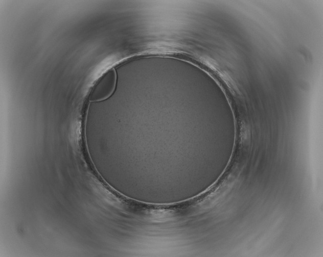 X0000112821459200909041505