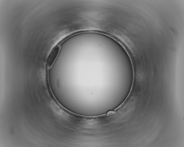 X0000112821460200909041505