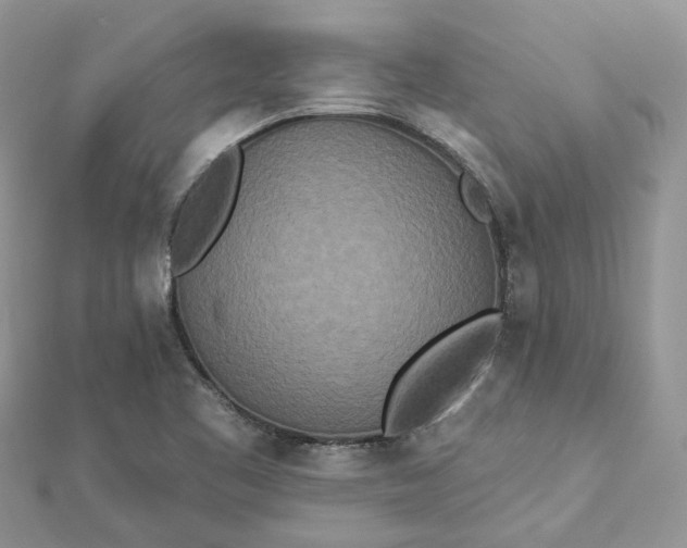 X0000112821461200909041505