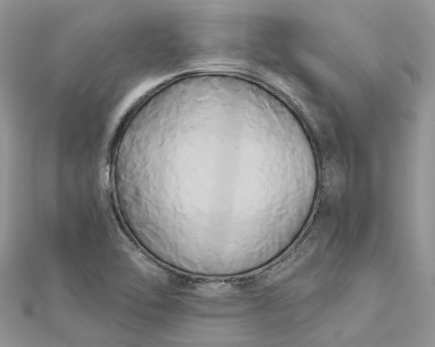 X0000112821462200909041505