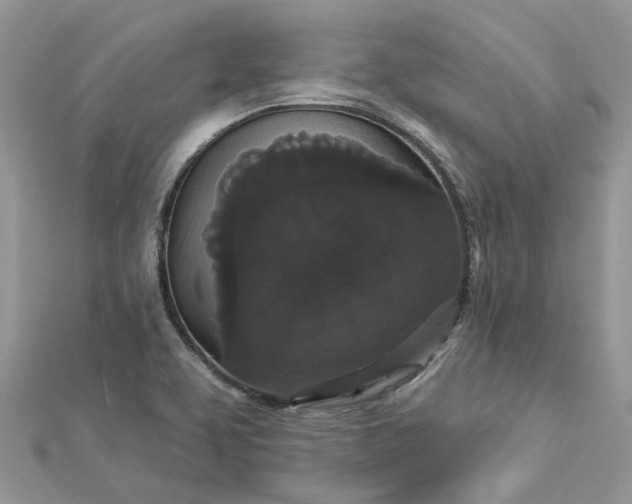 X0000112821463200909041505