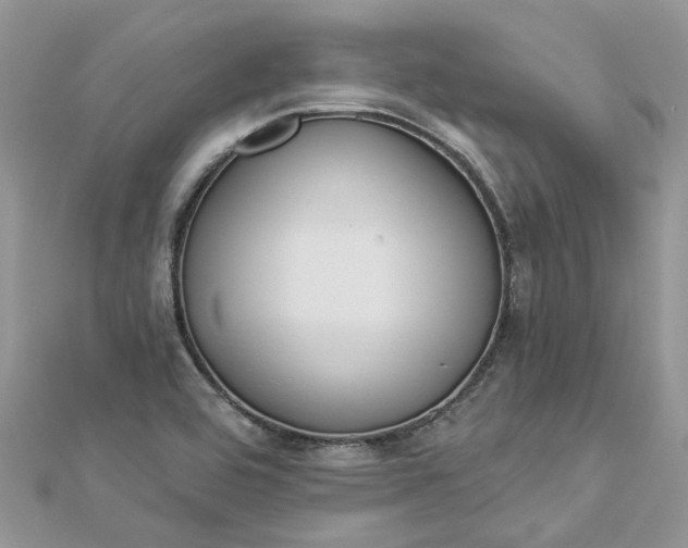 X0000112821464200909041505