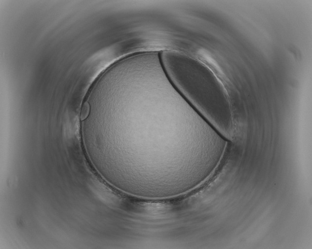 X0000112821465200909041505