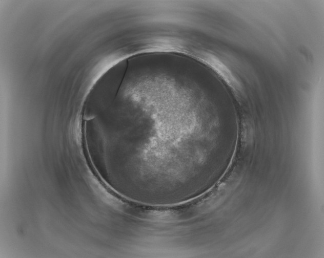 X0000112821468200909041505