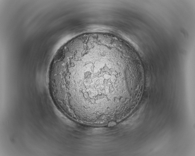 X0000112821471200909041505