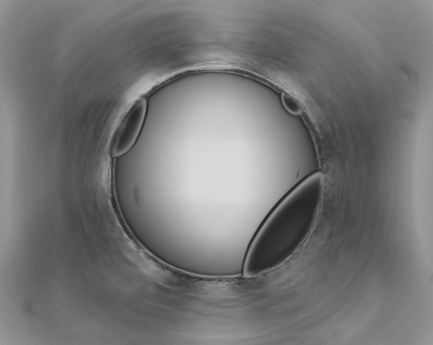 X0000112821472200909041505