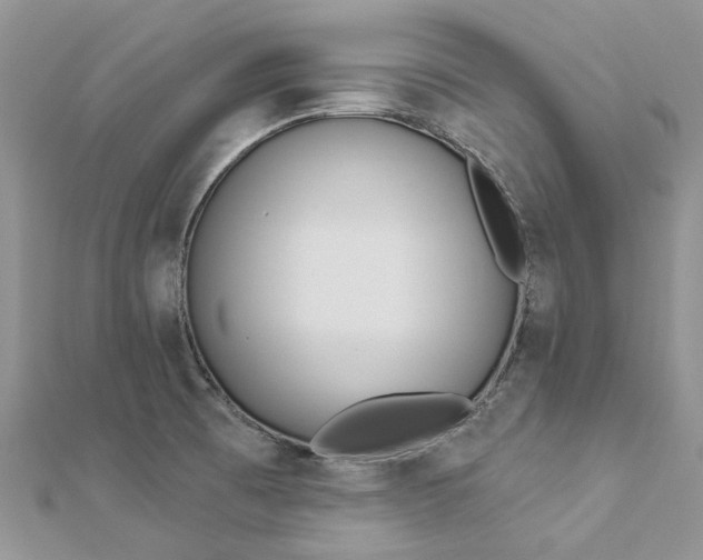 X0000112821473200909041505