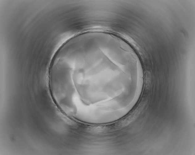 X0000112821474200909041505