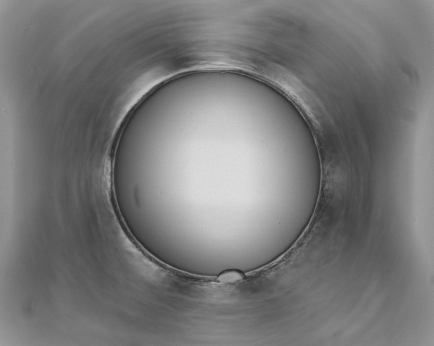 X0000112821476200909041504