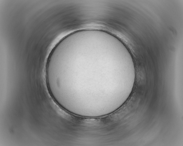 X0000112821478200909041504