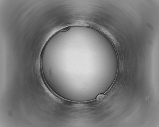 X0000112821479200909041504