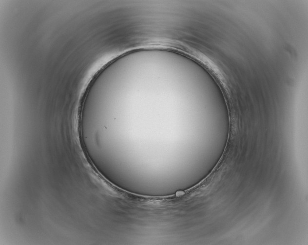 X0000112821480200909041504