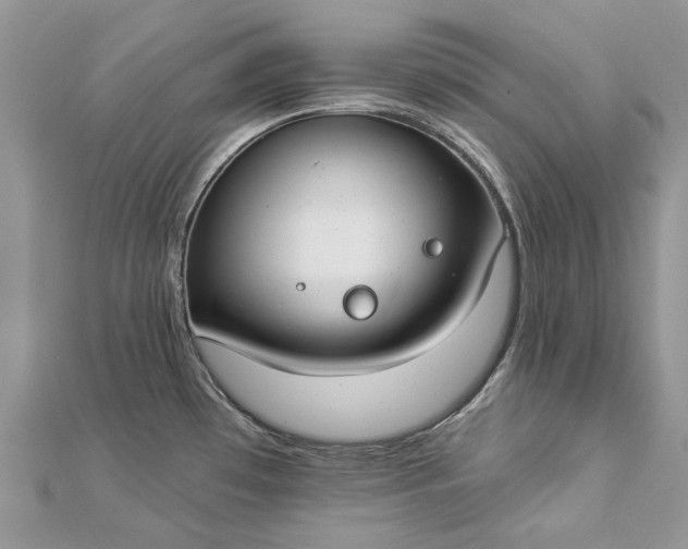 X0000112821481200909041504