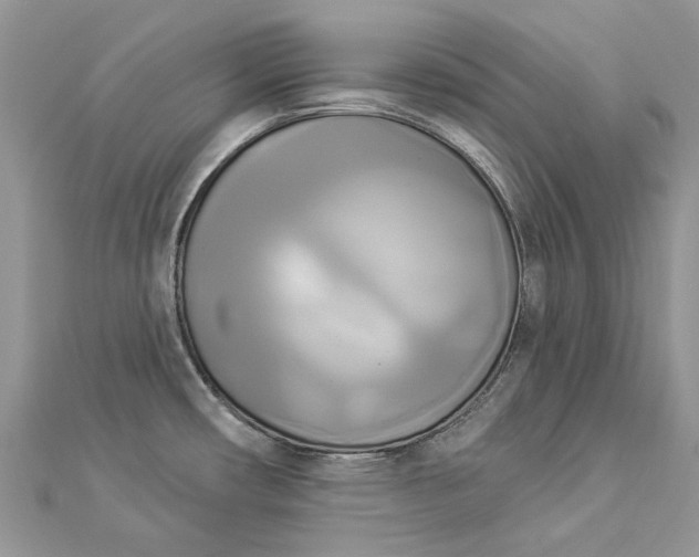 X0000112821482200909041504