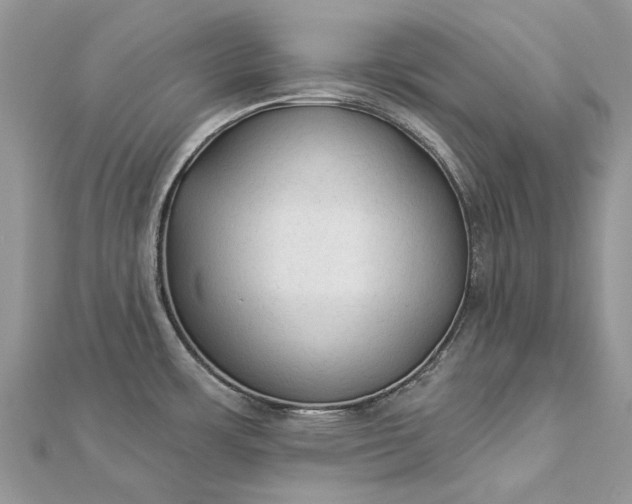 X0000112821483200909041504