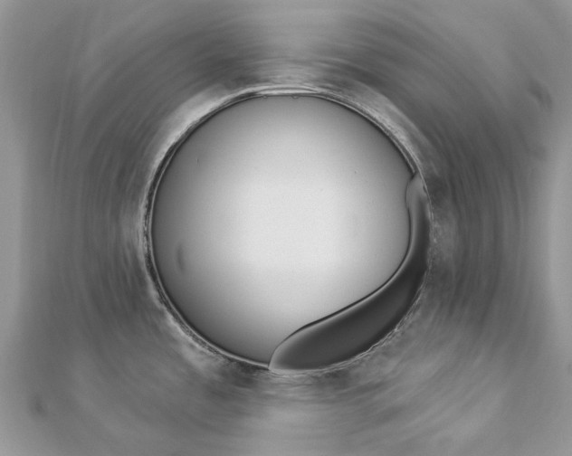 X0000112821485200909041504