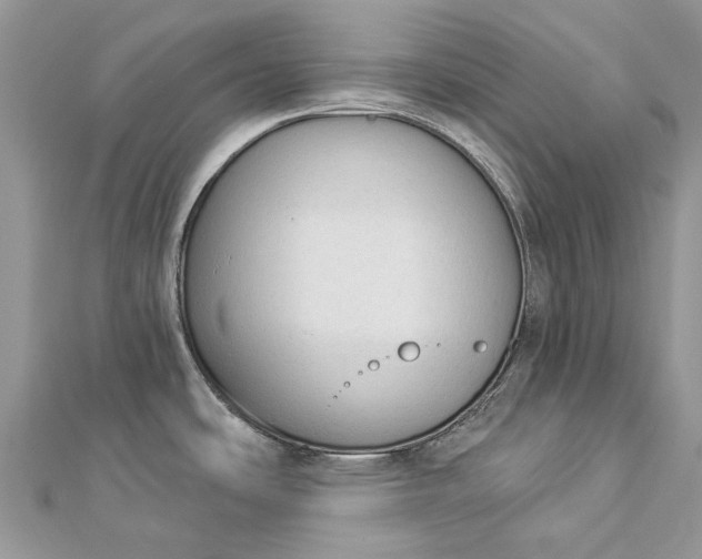 X0000112821486200909041504