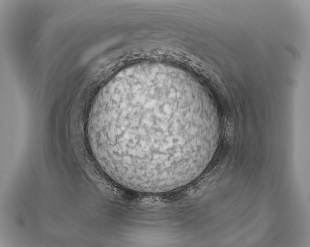 X0000112821489200909041504