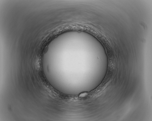 X0000112821490200909041504