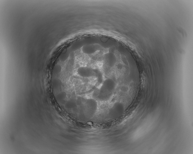 X0000112821494200909041504