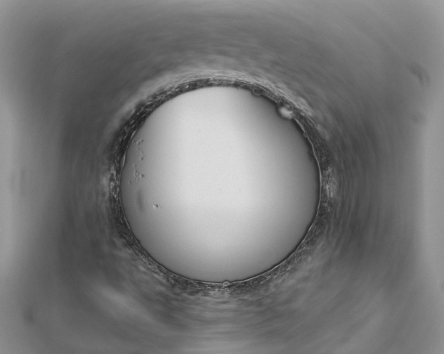 X0000112821495200909041504