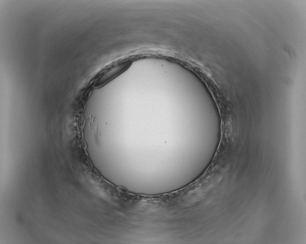 X0000112821496200909041504