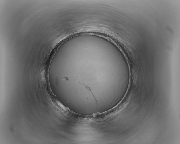 X0000112821497200909041504