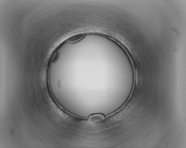 X0000112821500200909041504