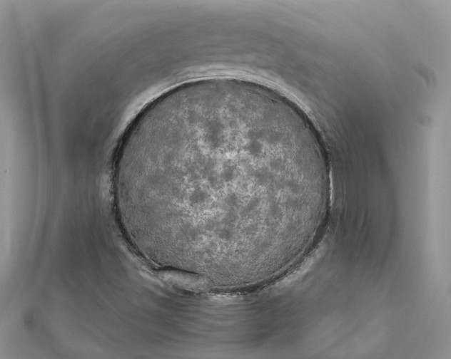 X0000112821501200909041504