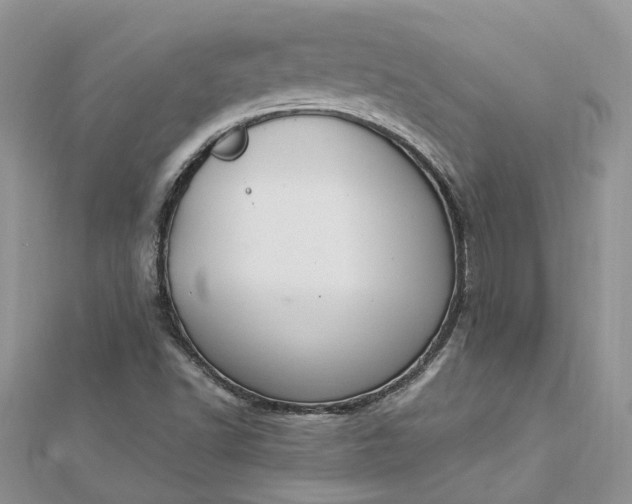 X0000112821502200909041504