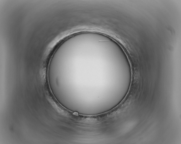 X0000112821503200909041504