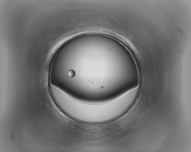 X0000112821504200909041504